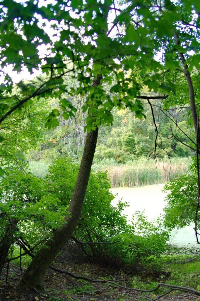 Коропове з panoramio.com - Коропово