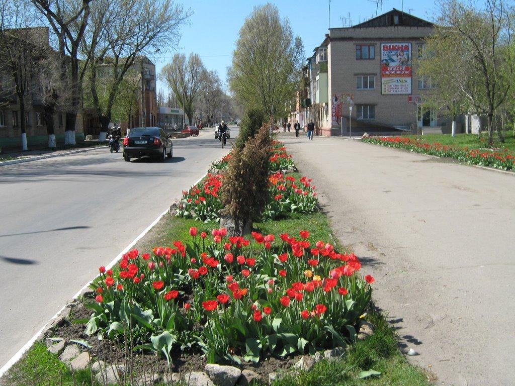 Оріхів з panoramio.com - Оріхів