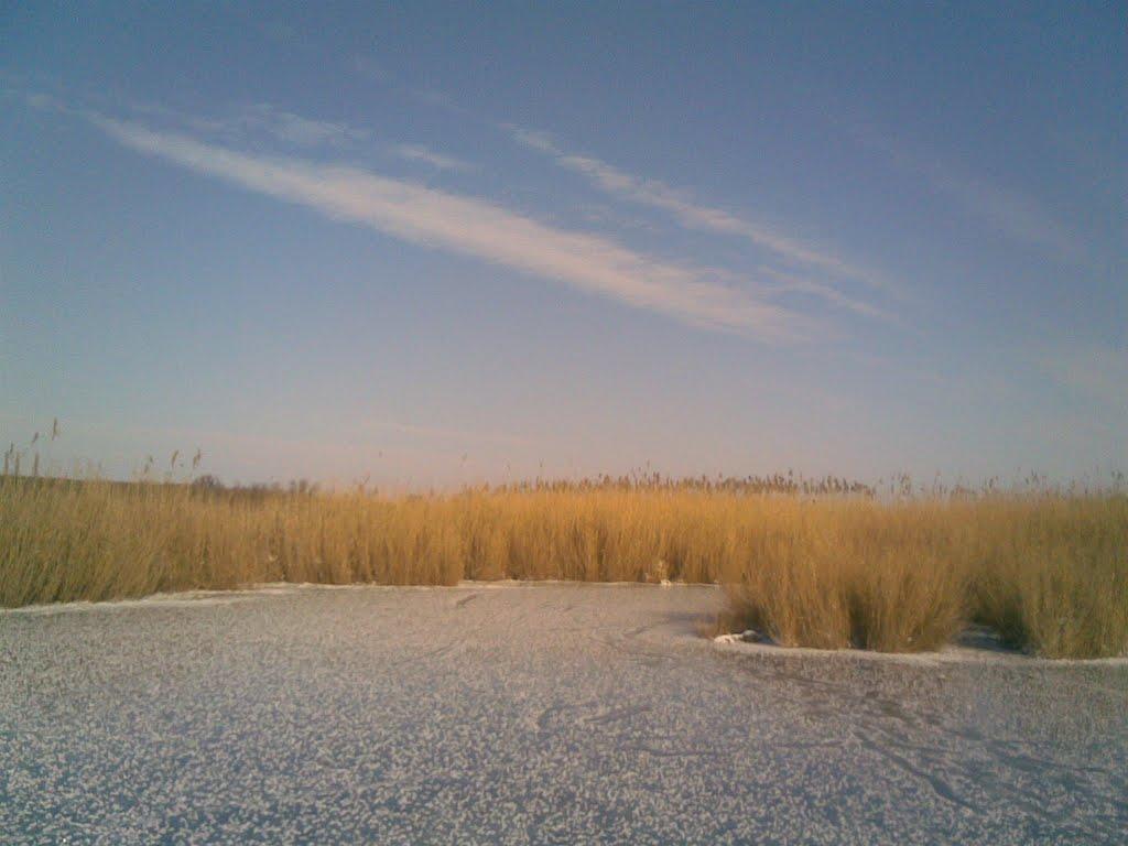 Садки з panoramio.com - Садки