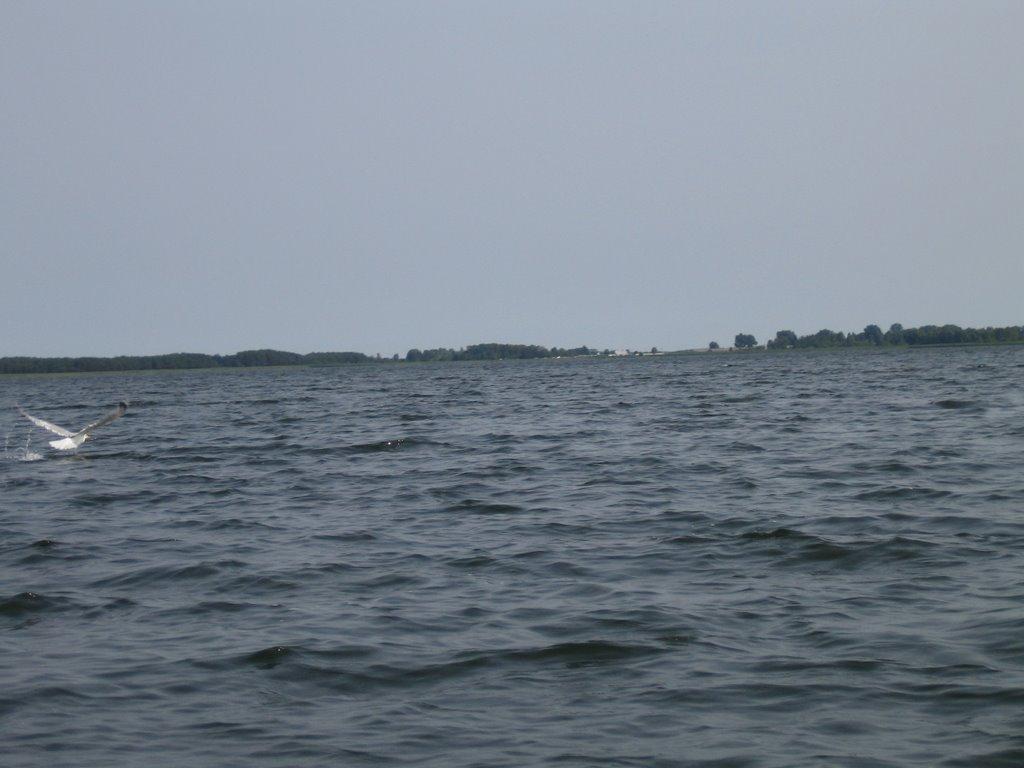 Любохини з panoramio.com - Любохини