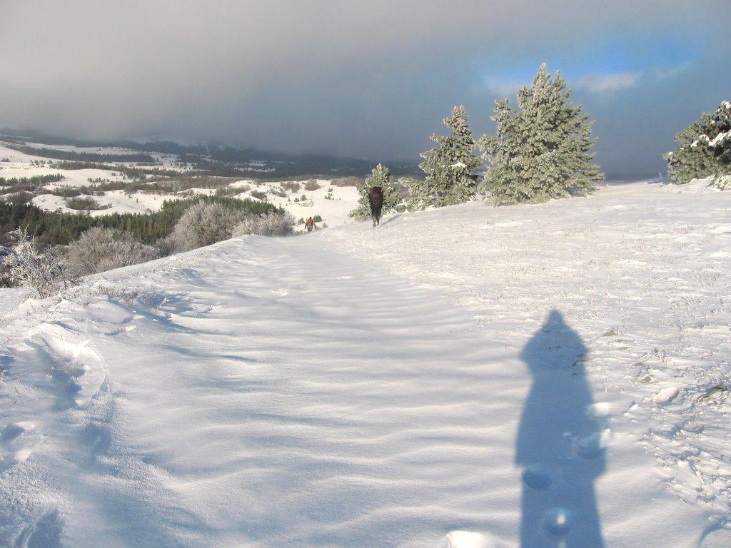 Голуба Затока з panoramio.com (ч.2) - Голубая Затока