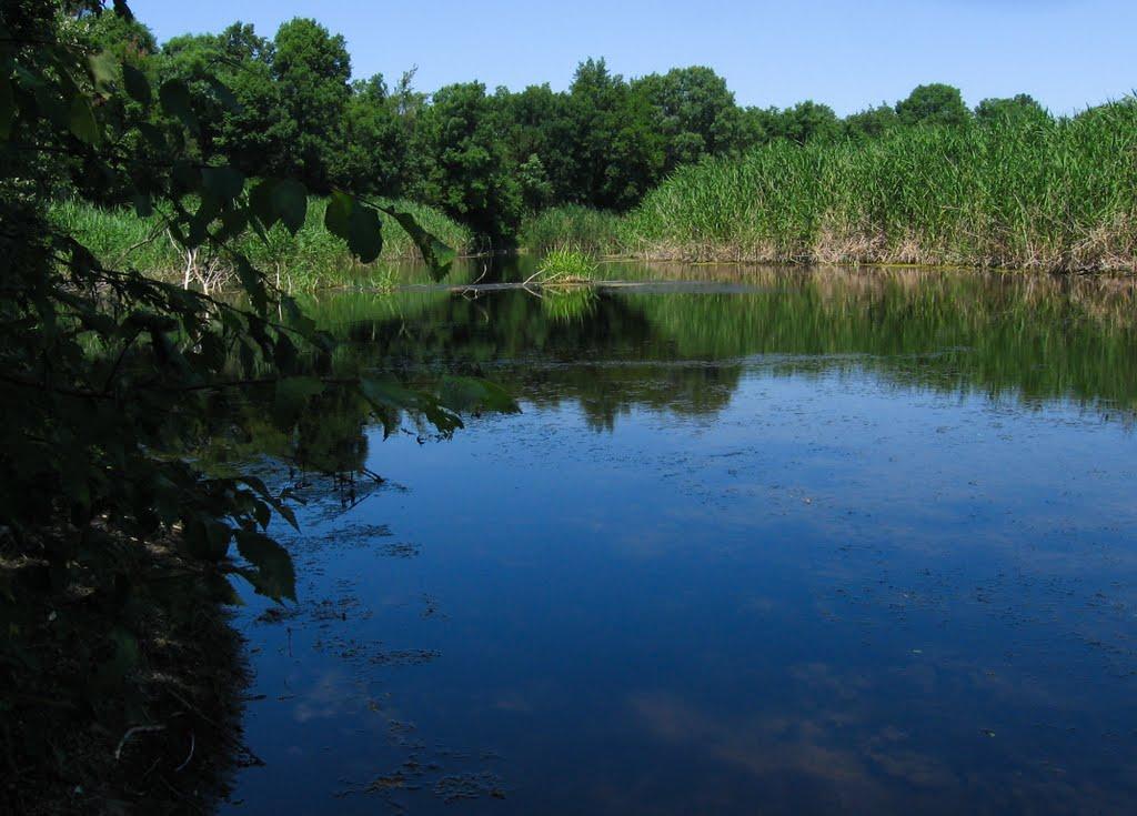 Виноградне з panoramio.com - Виноградне