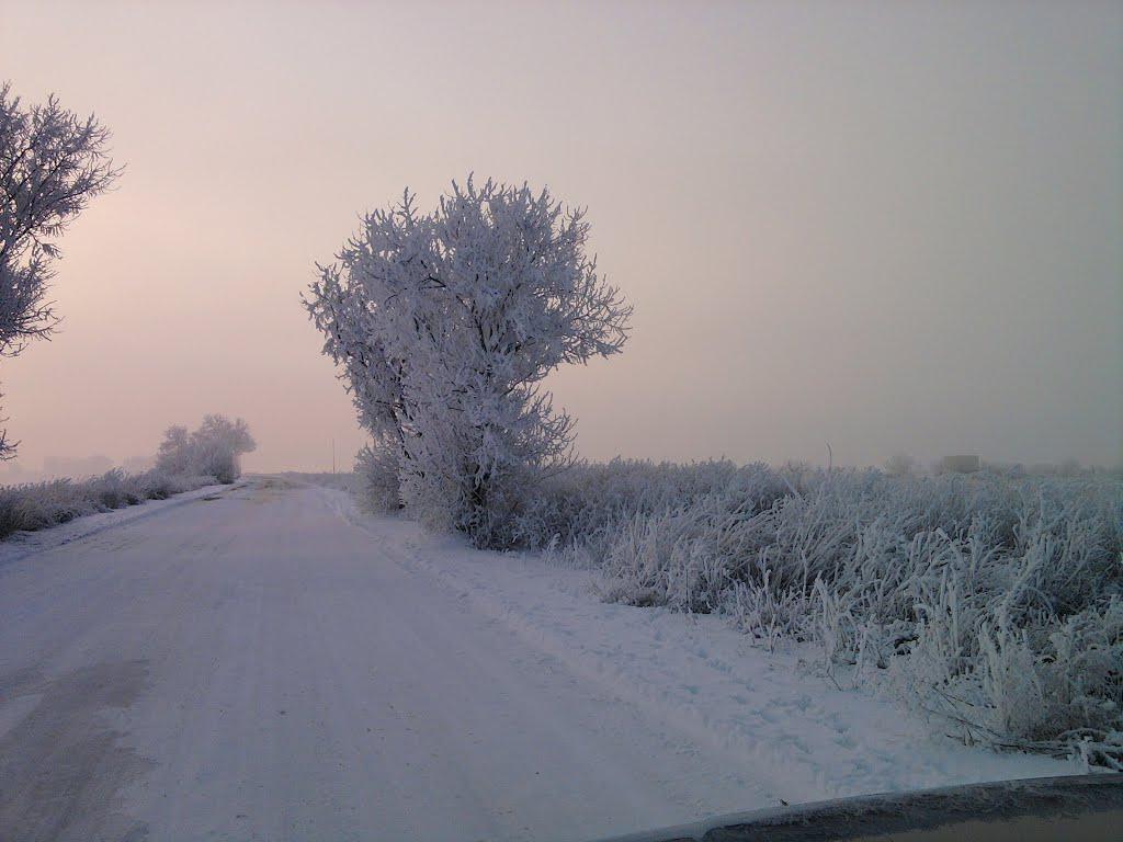 Мирний з panoramio.com (ч.2) - Мирний