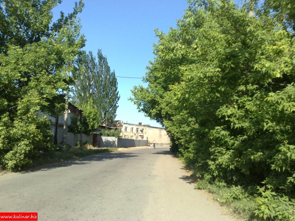 Мелітополь з panoramio.com (ч.2) - Мелитополь