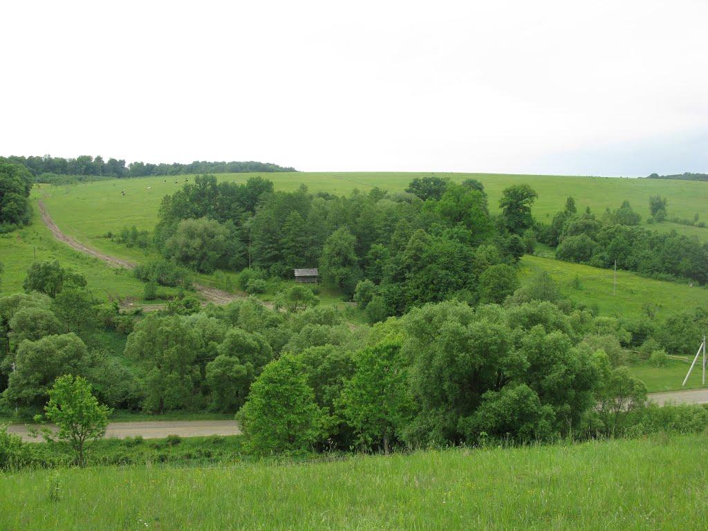 Поляна з panoramio.com - Поляна