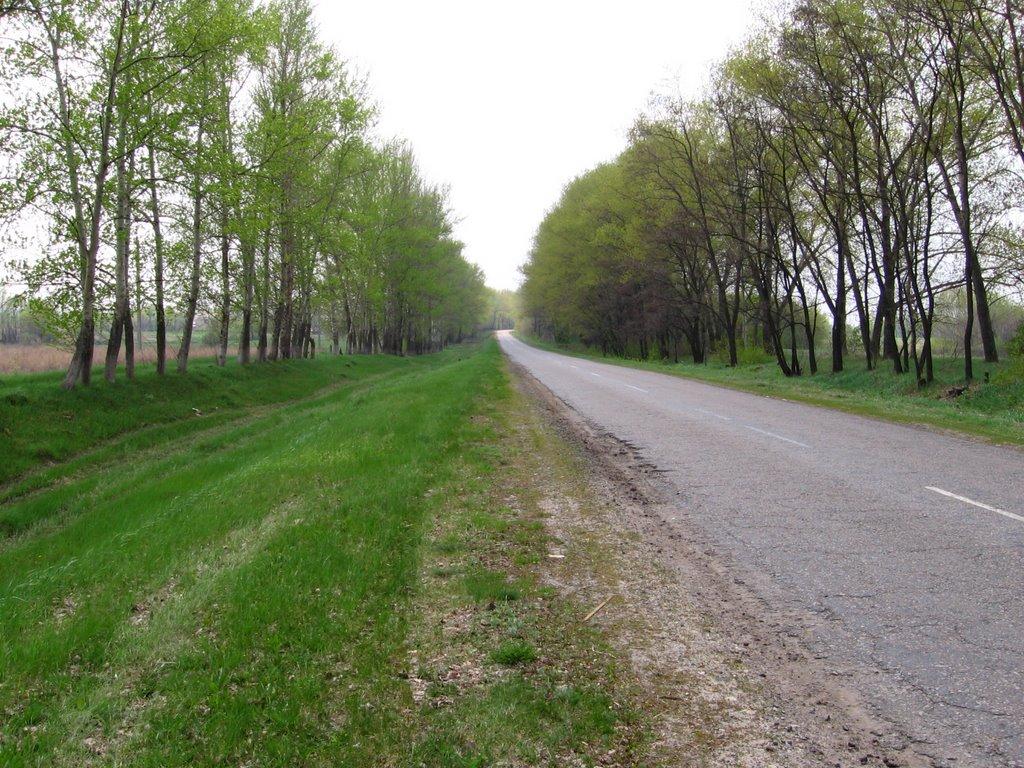 Новокомсомольське з panoramio.com - Новокомсомольське