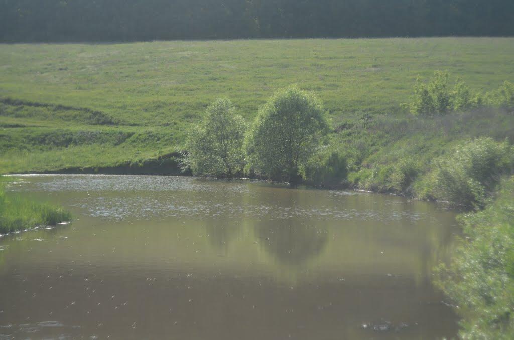 Польова з panoramio.com - Польова