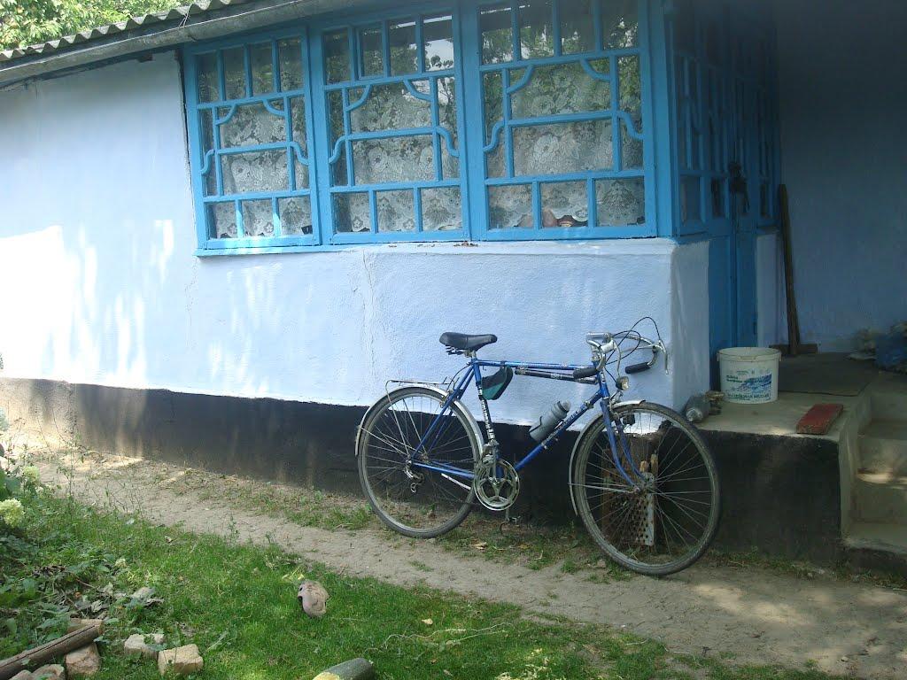 Ставчани з panoramio.com - Ставчаны