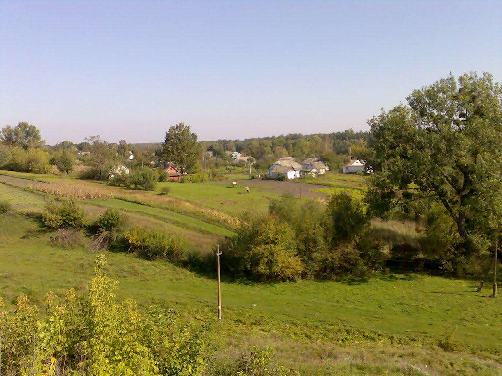 Кордонівка з panoramio.com - Кордонівка