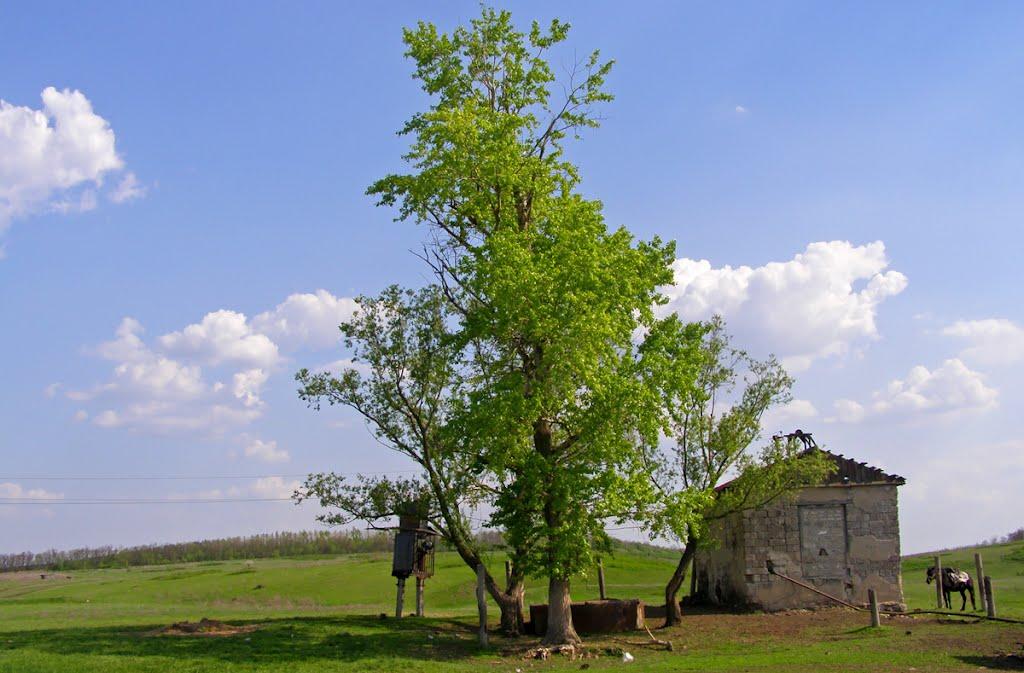 Бондареве з panoramio.com - Бондареве