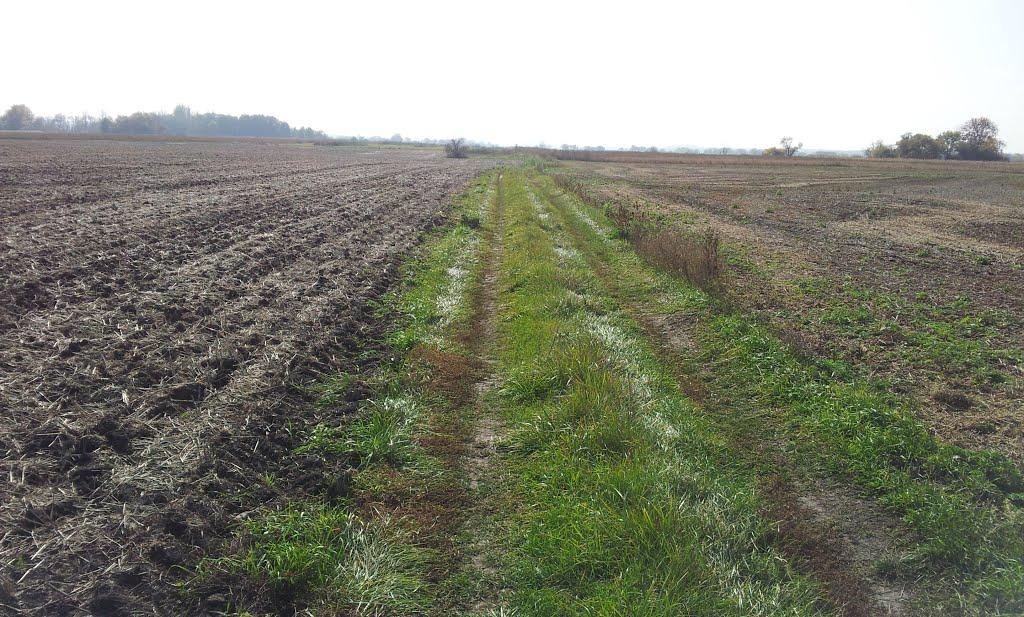 Чередники з panoramio.com - Чередники