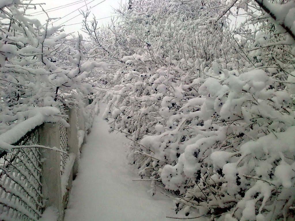 Гвардійське з panoramio.com - Гвардійське