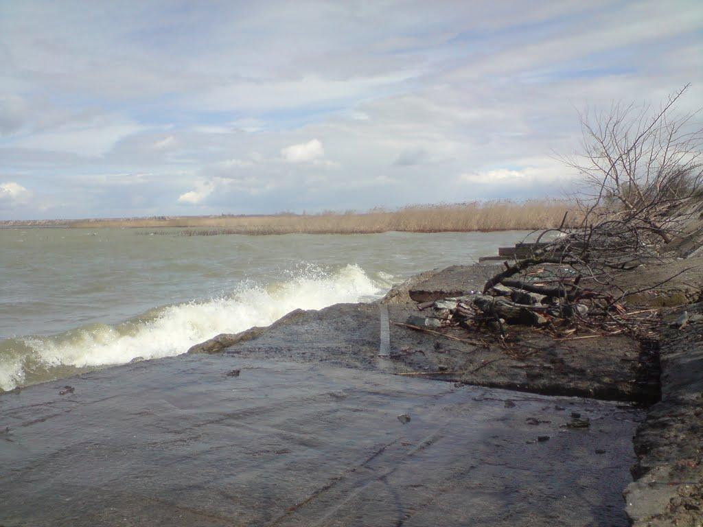 Нова Некрасівка з panoramio.com - Нова Некрасівка