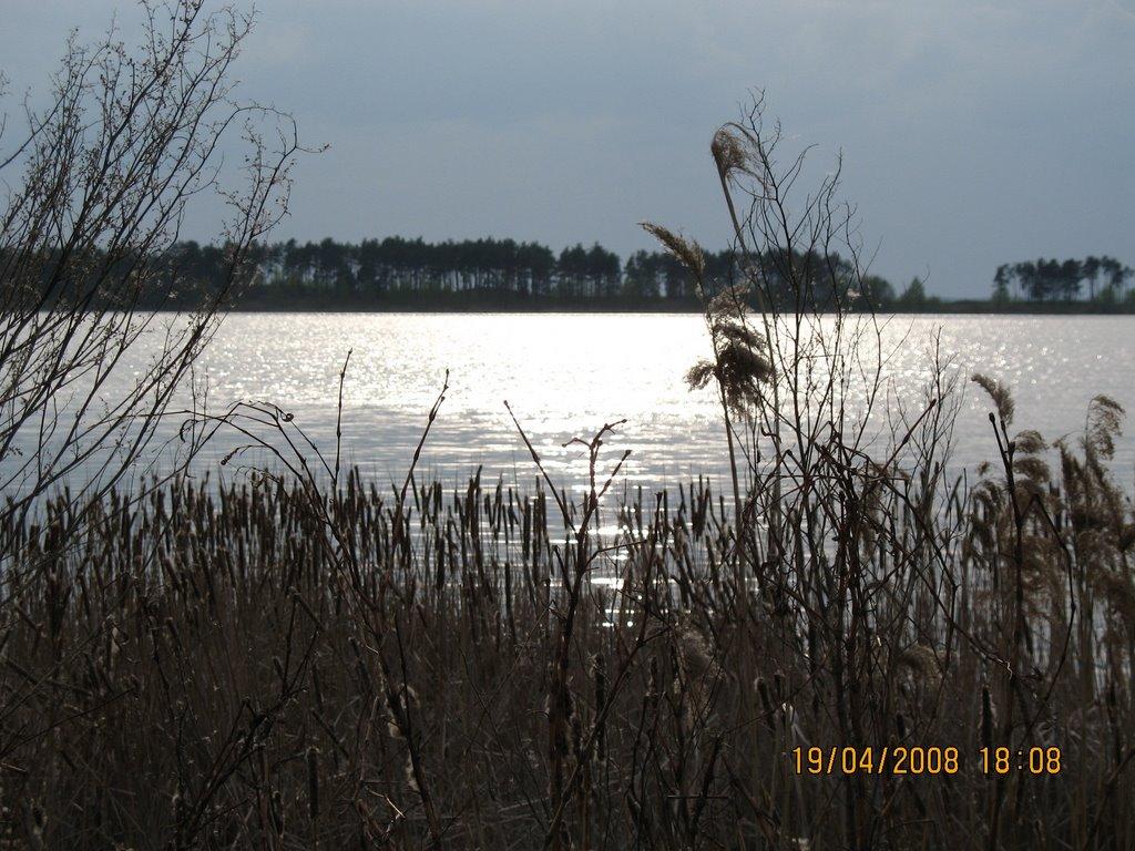 Лошакова Гута з panoramio.com - Loshakova Guta