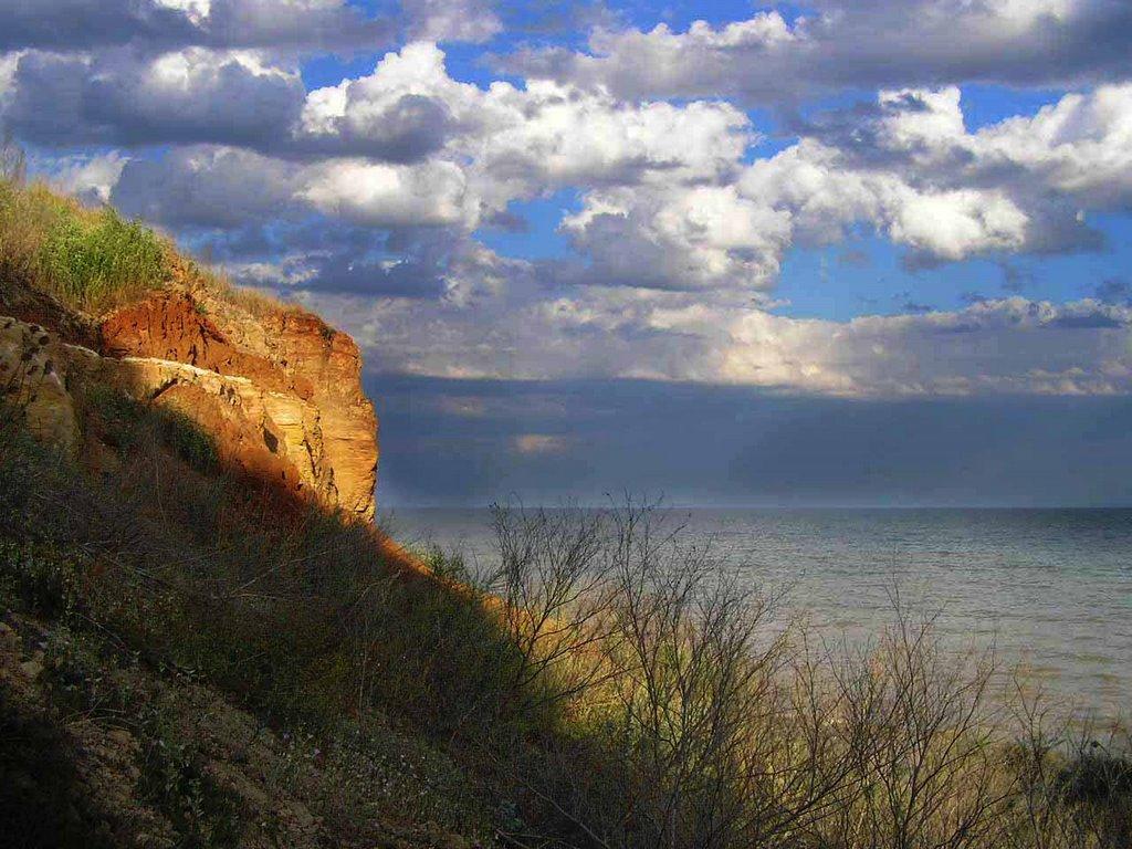 Нова Дофінівка з panoramio.com - Нова Дофінівка