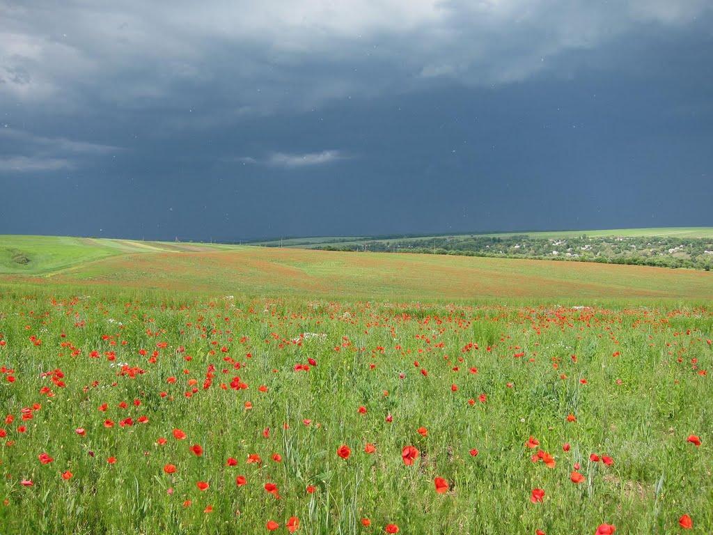 Сков'ятин з panoramio.com - Сков'ятин