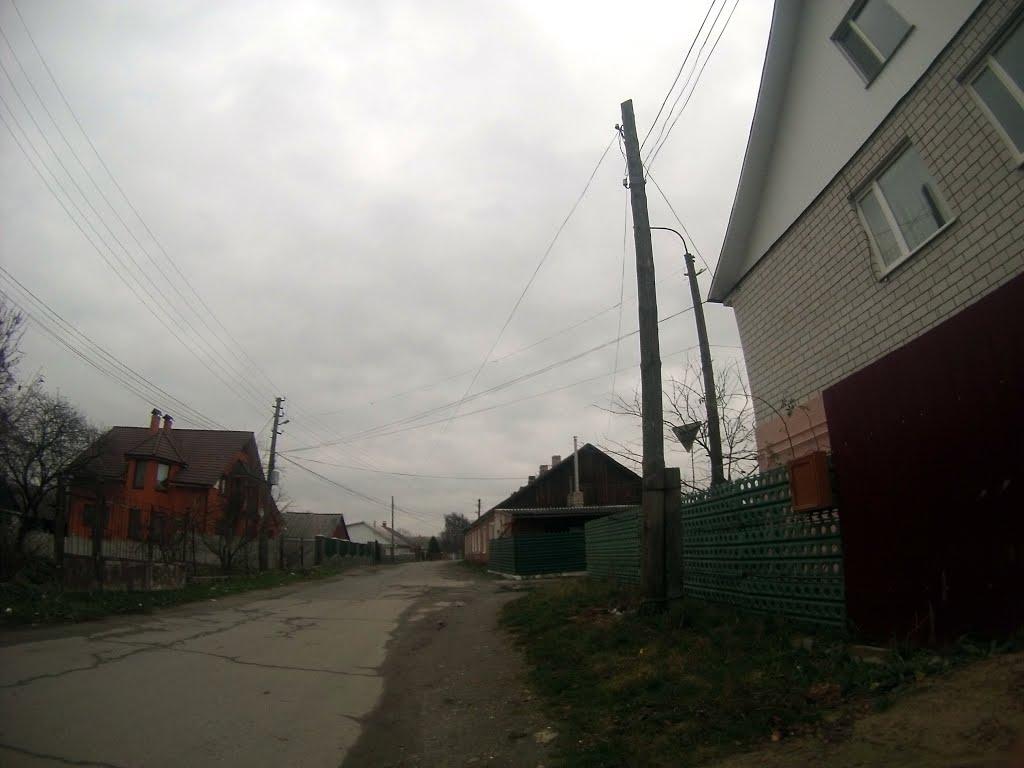 Новоград-Волинський з panoramio.com (ч.3) - Новоград-Волинський