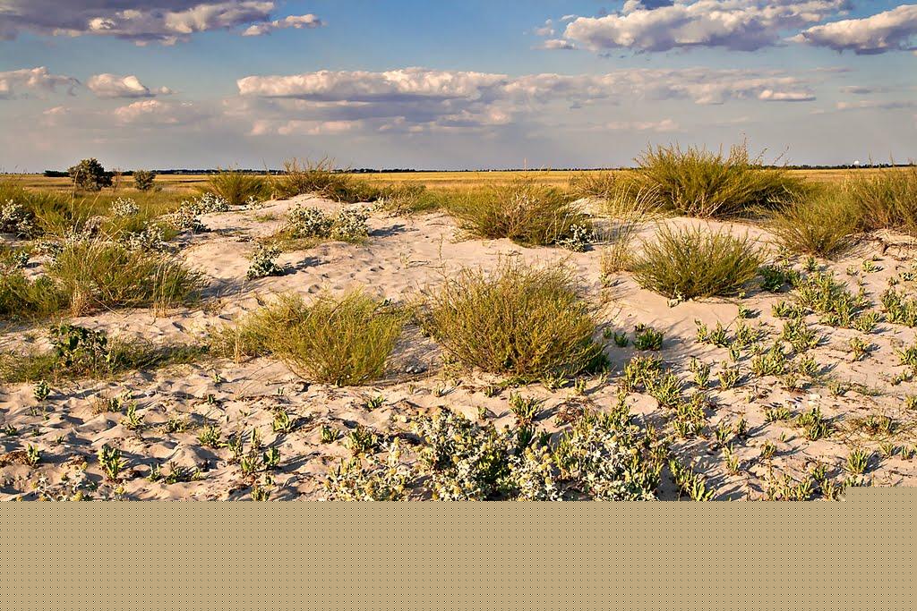 Сєверодонецьк з panoramio.com (ч.3) - Северодонецк
