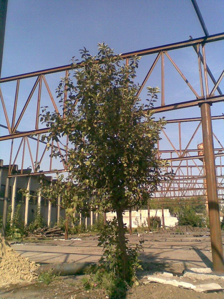 Дергачі з panoramio.com - Дергачі