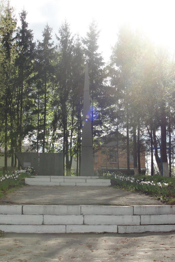 Городище з panoramio.com - Городище