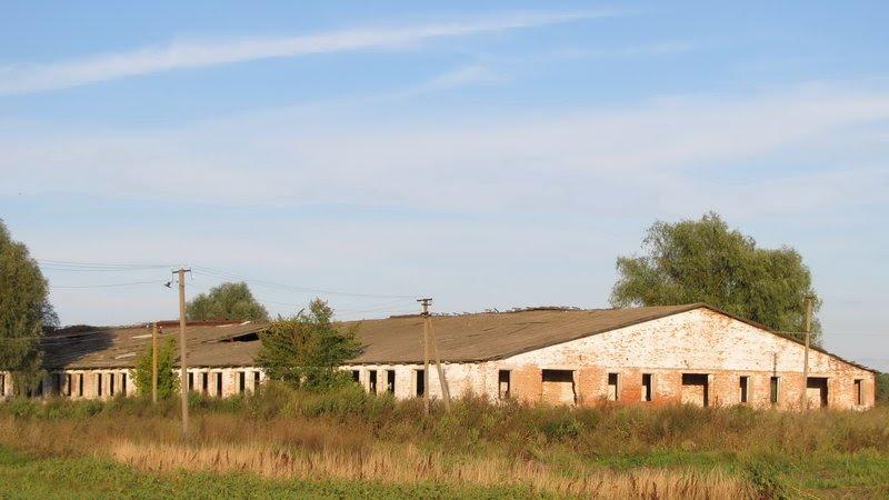 Прохори з panoramio.com - Прохори