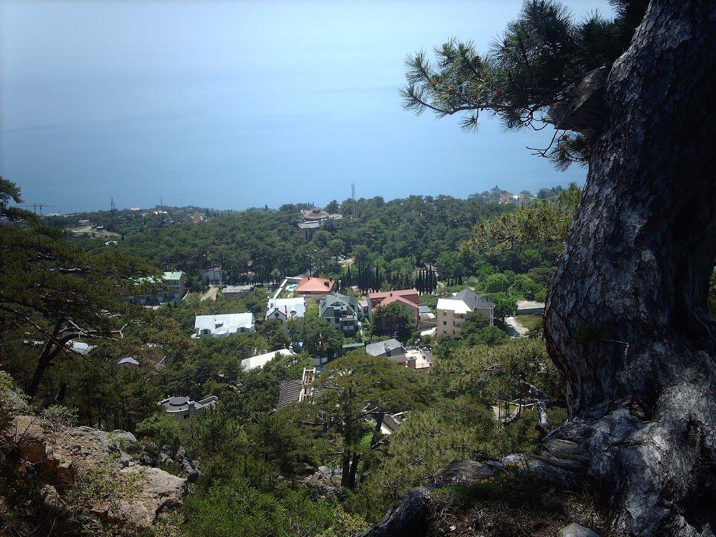 Нікіта з panoramio.com (ч.2) - Никита