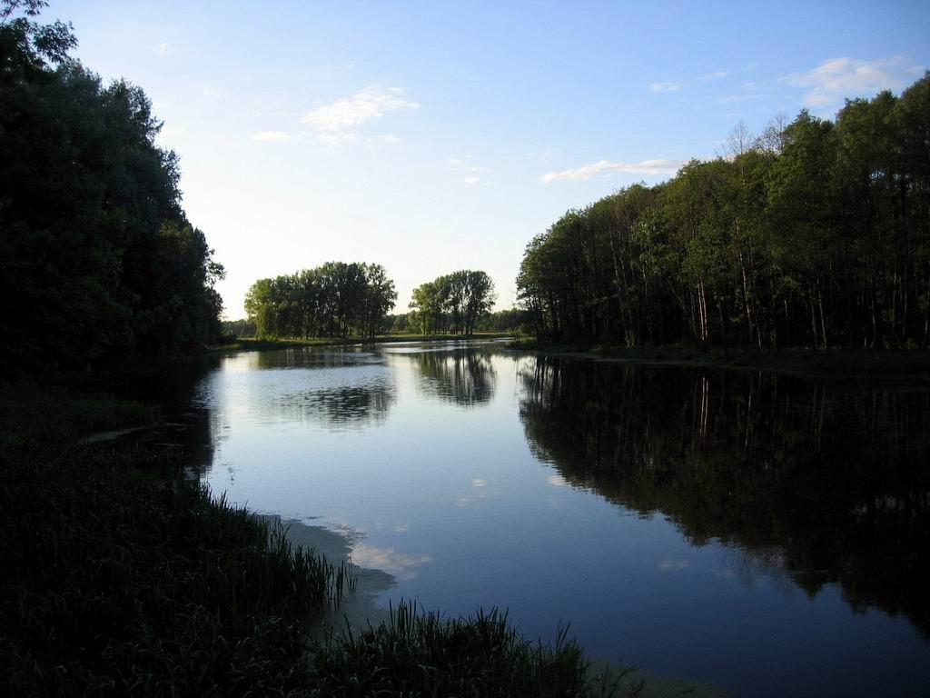 Кошари з panoramio.com - Кошари