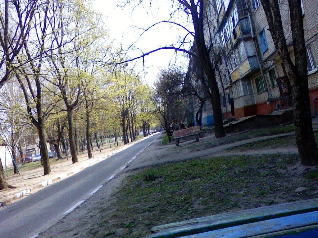 Затишшя з panoramio.com - Затишшя