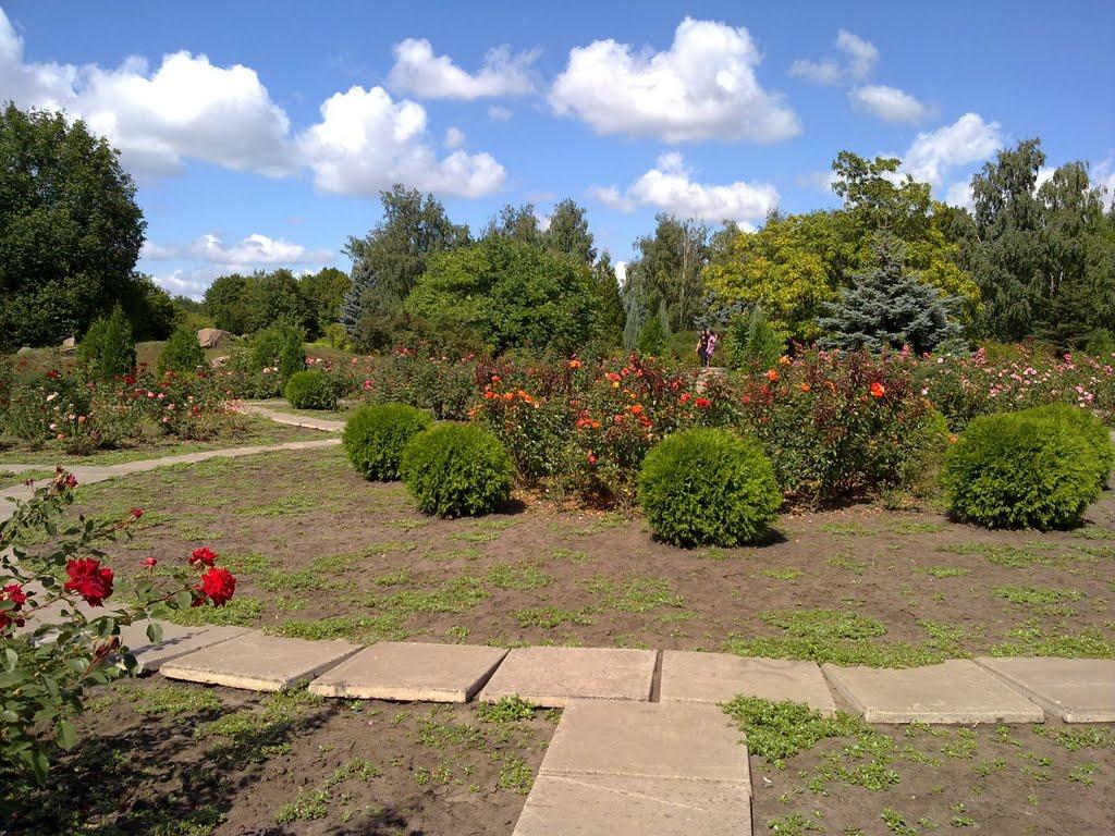 Кам'яне Поле з panoramio.com - Кам'яне Поле
