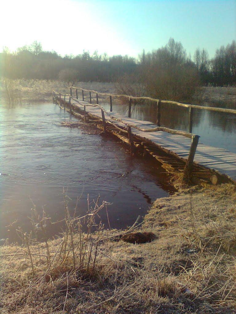 Черешенька з panoramio.com - Черешенька