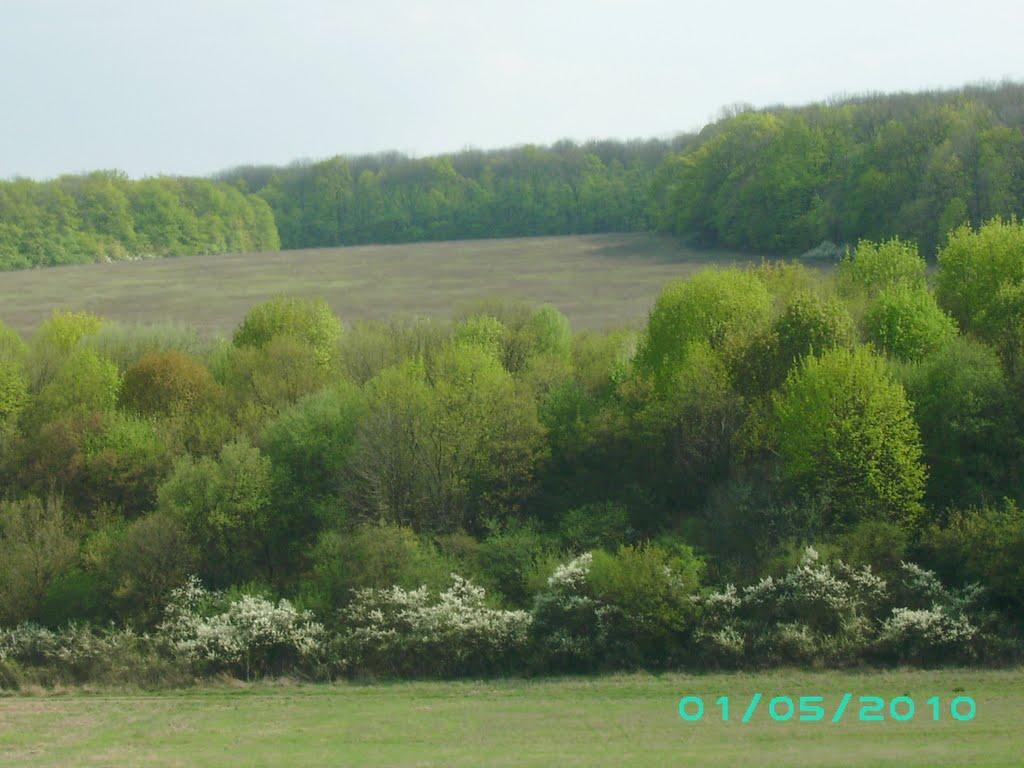 Люботин з panoramio.com (ч.2) - Люботин