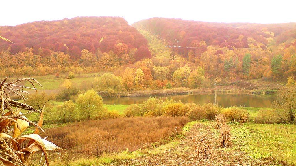 Рогачин з panoramio.com - Рогачин