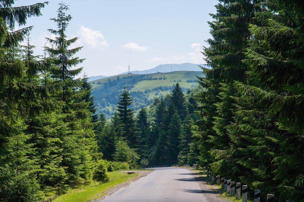 Стригальня з panoramio.com - Стригальня