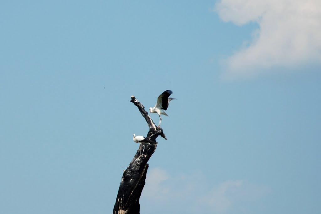 Червоний Шахтар з panoramio.com - Червоний Шахтар