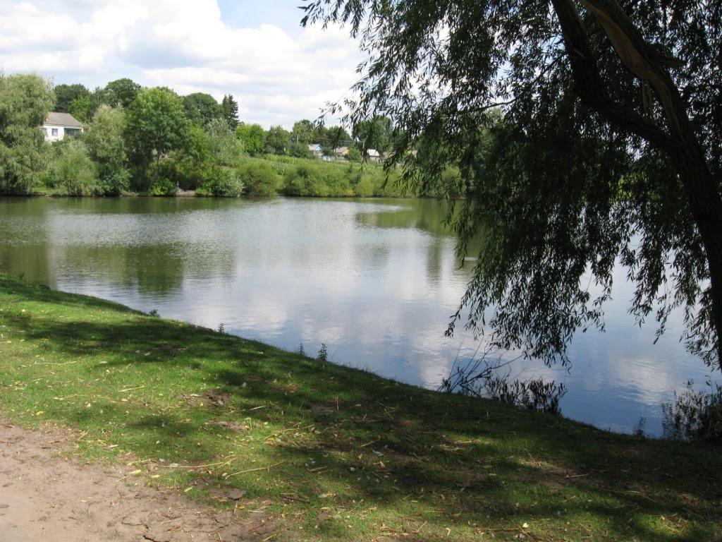 Гаврилівка з panoramio.com - Гаврилівка