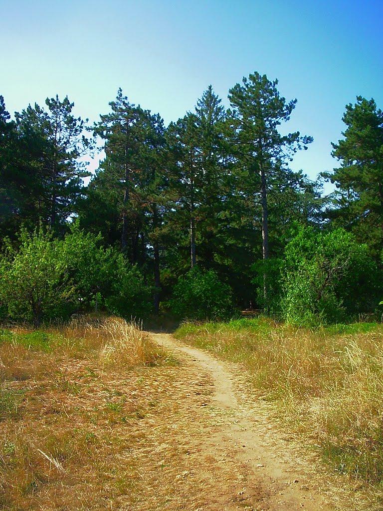Научний з panoramio.com - Научний
