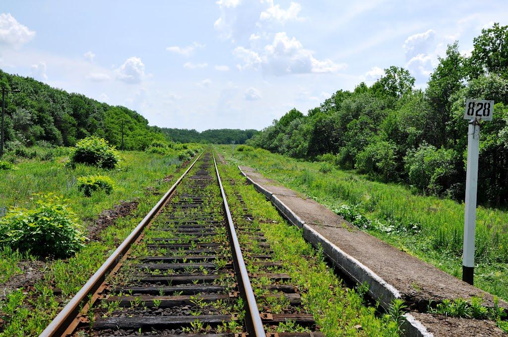 Осикове з panoramio.com - Осикове