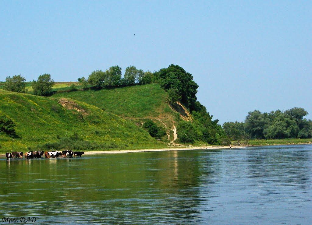 Устя-Зелене з panoramio.com - Устя-Зелене