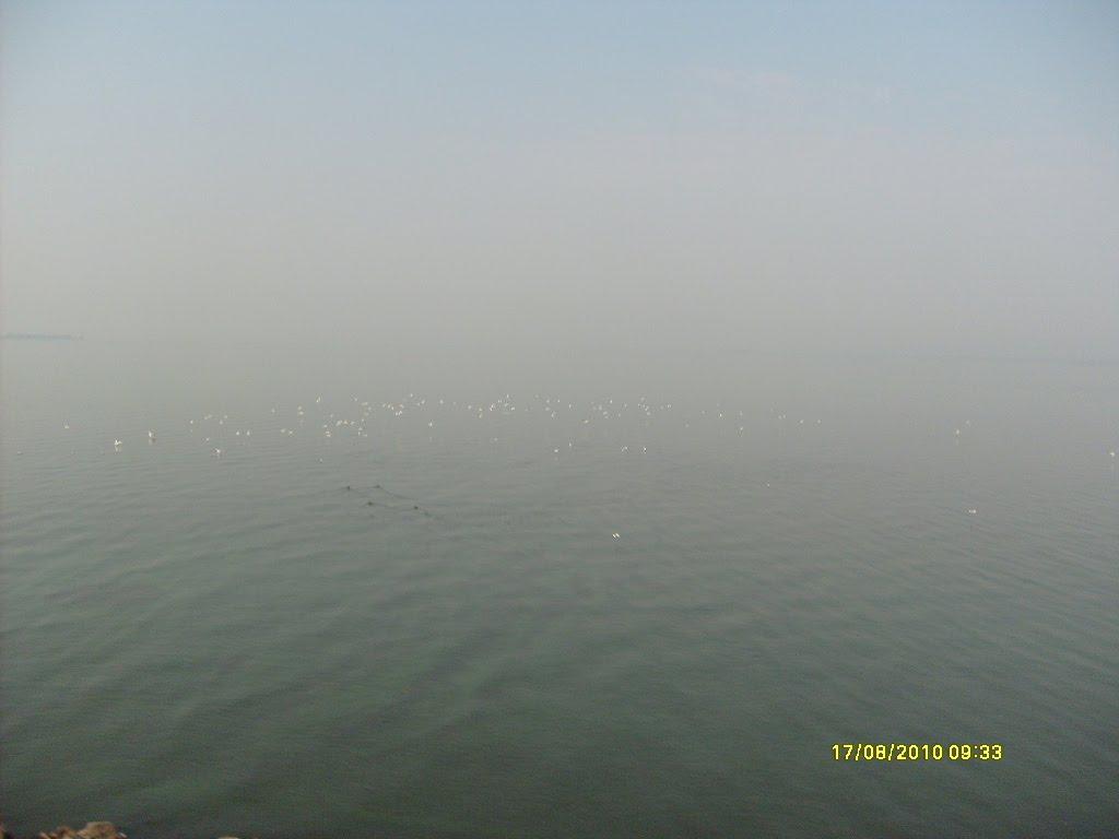 Малокатеринівка з panoramio.com - Малокатеринівка