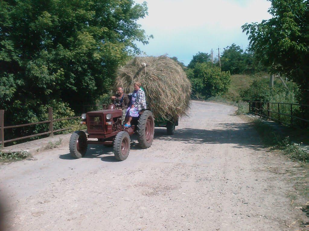 Ставниця з panoramio.com - Stavnytsya