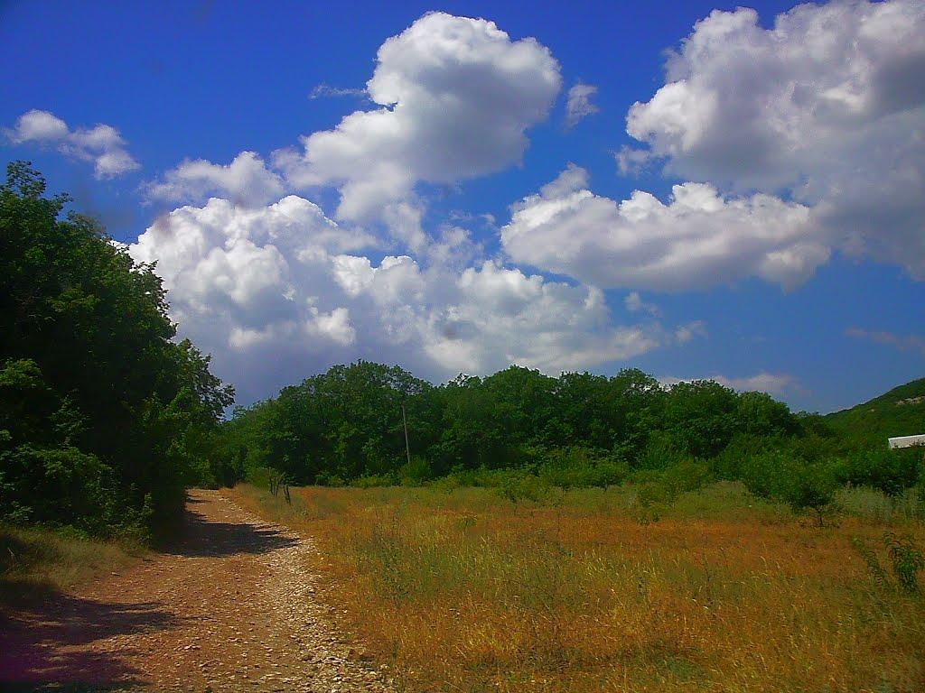 Тернівка з panoramio.com (ч.3) - Терновка