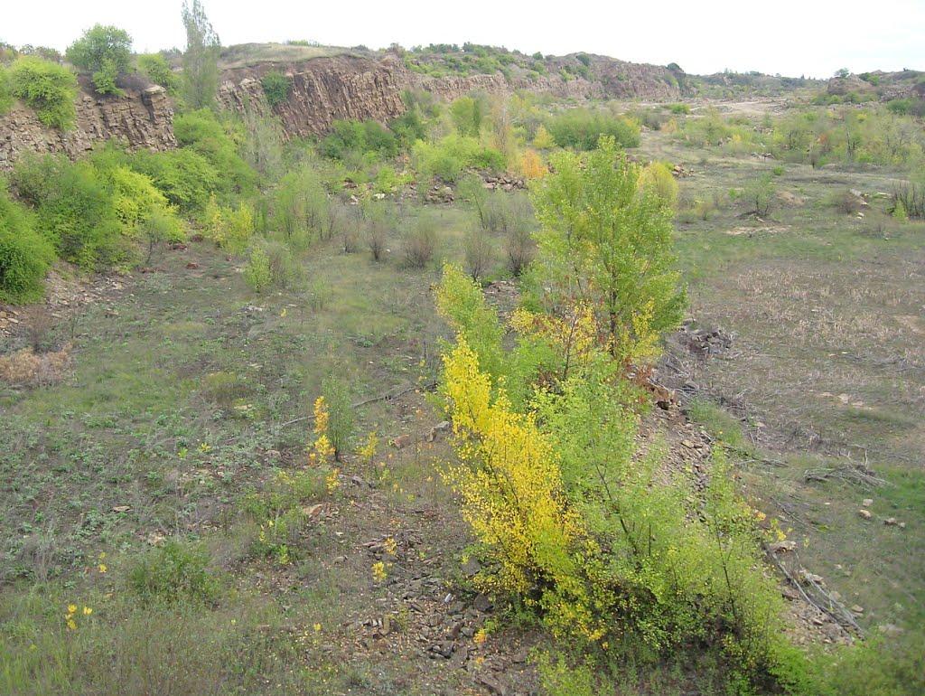 Грушове з panoramio.com - Грушове