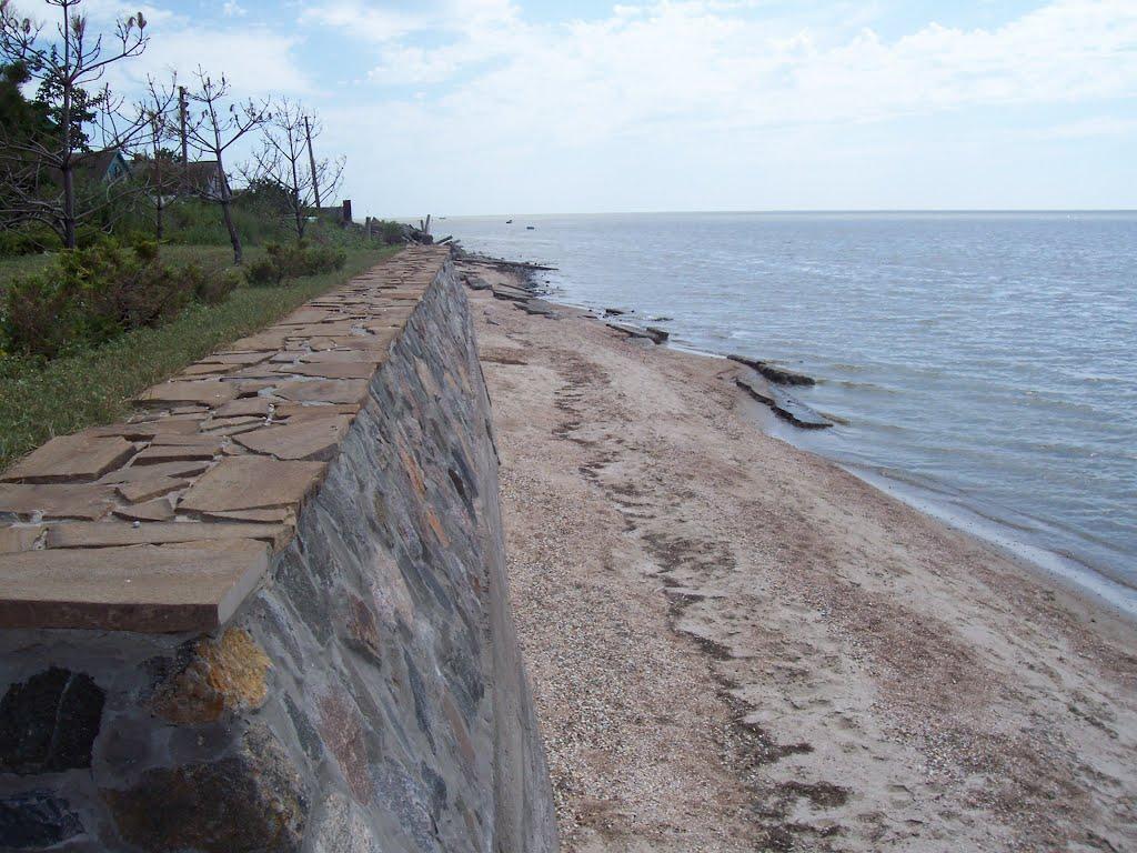 Виноградне з panoramio.com - Виноградне