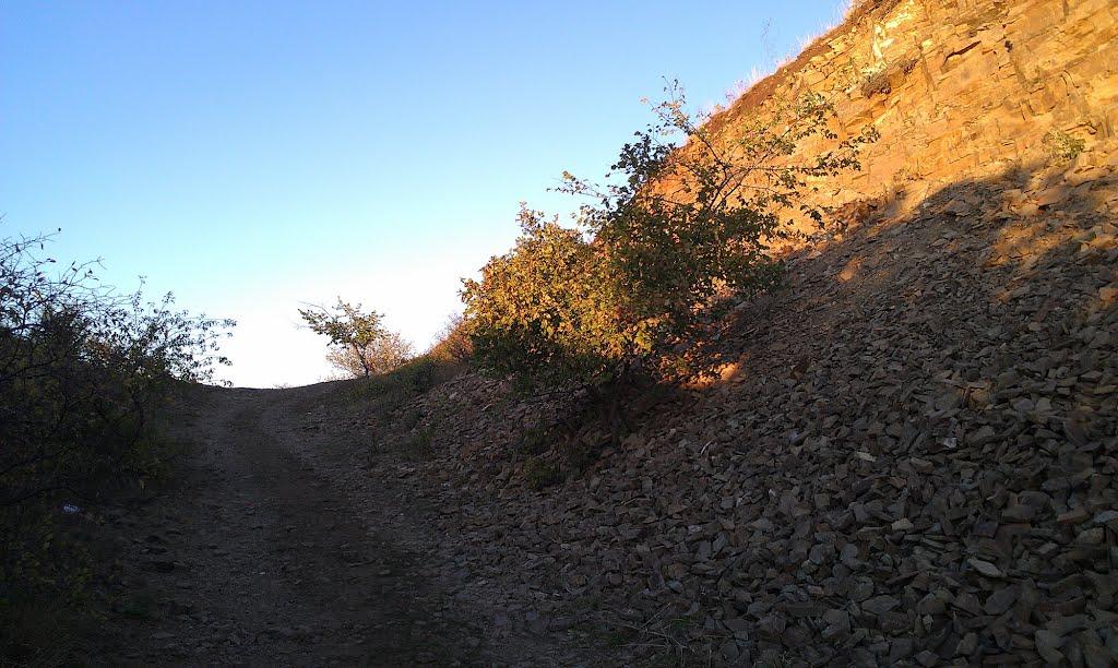Кам'янка з panoramio.com - Каменка