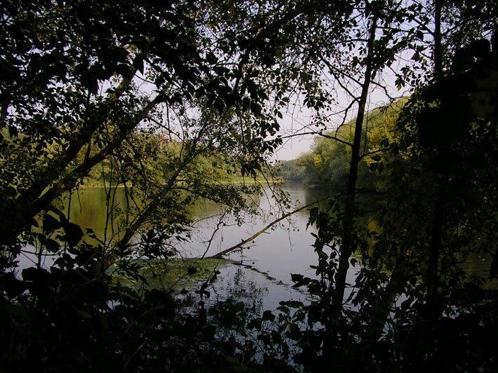 Суха Гомільша з panoramio.com - Суха Гомільша