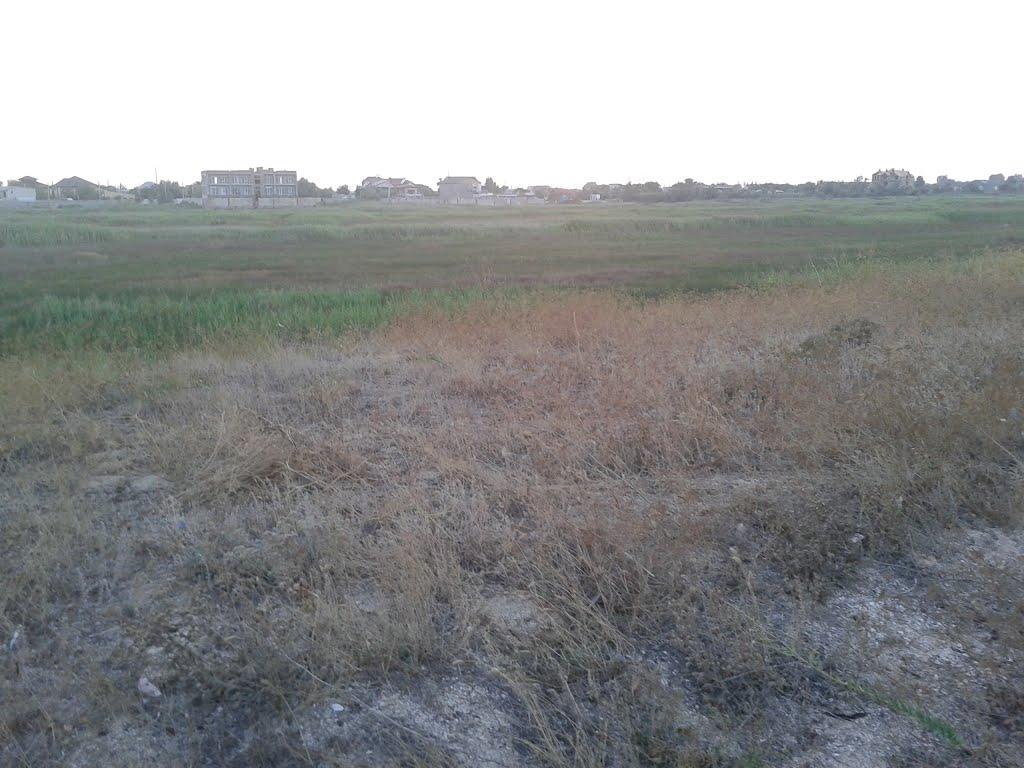 Щасливцеве з panoramio.com (ч.2) - Счастливцево