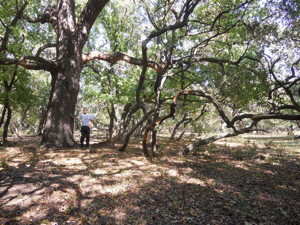 Кочережки з panoramio.com - Кочережки