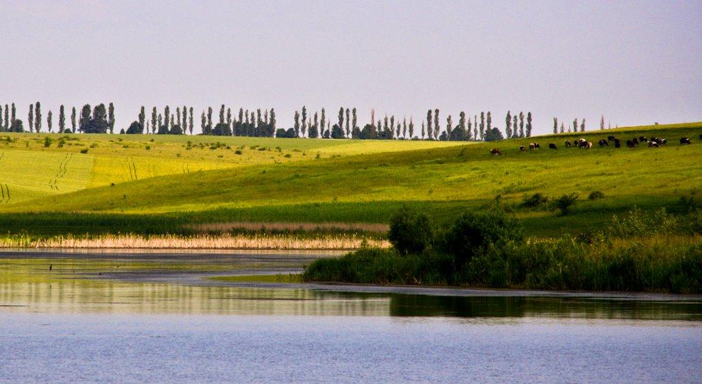 Савинці з panoramio.com - Савинці