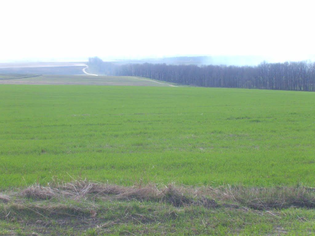 Велика Чернеччина з panoramio.com - Велика Чернеччина