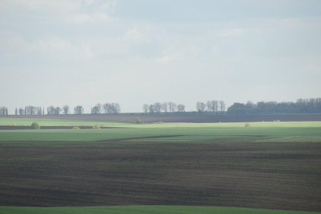 Городище з panoramio.com - Городище